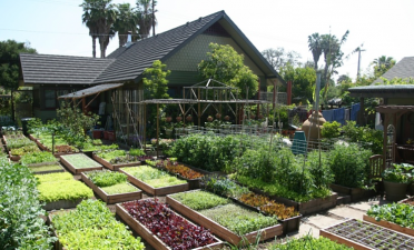 Família americana produz alimentos no quintal de casa e faz sucesso nas redes sociais