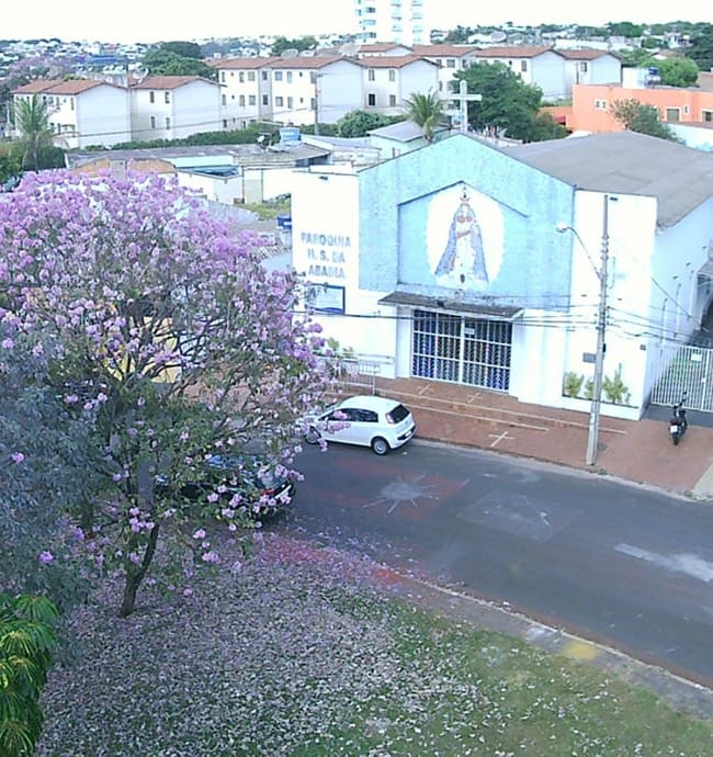 Por que o culto a Nossa Senhora da Abadia? 1