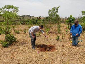 Evento no Bem Viver Uberlândia Sul reúne proprietários de lotes para plantio de mudas de árvores